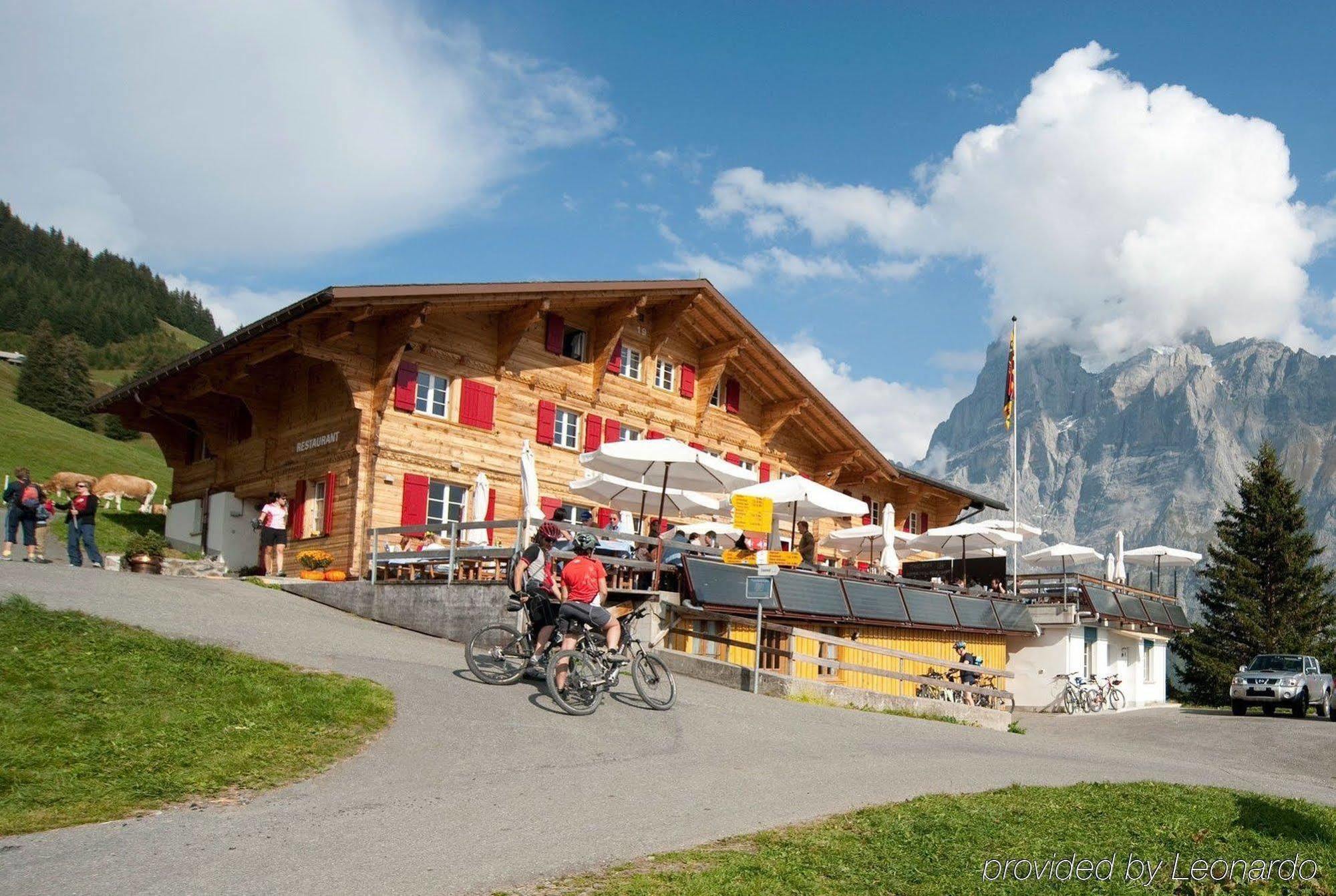 Alpinhotel Bort Grindelwald Exteriör bild